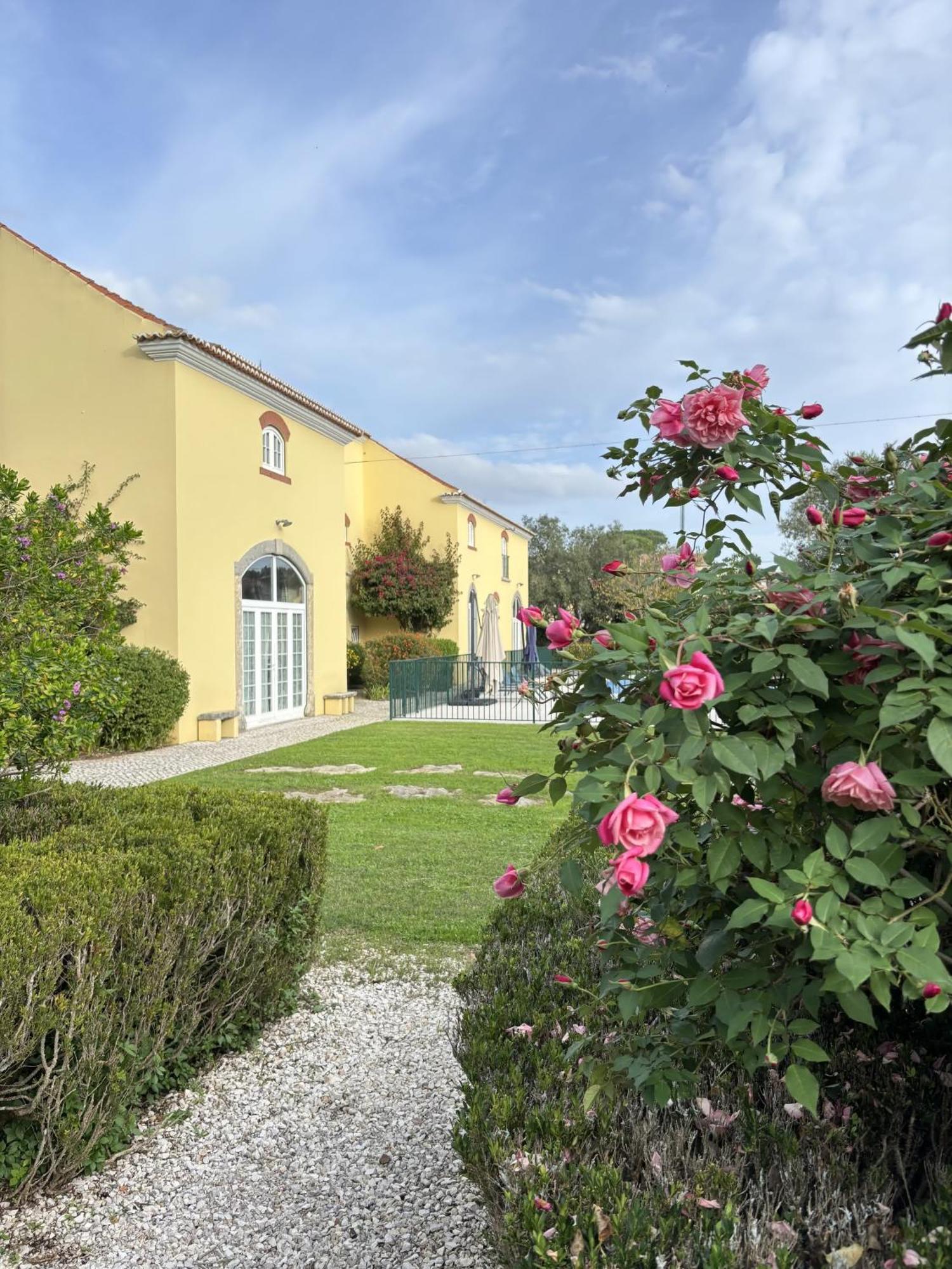 Quinta Do Scoto Bed & Breakfast Rinchoa Bagian luar foto