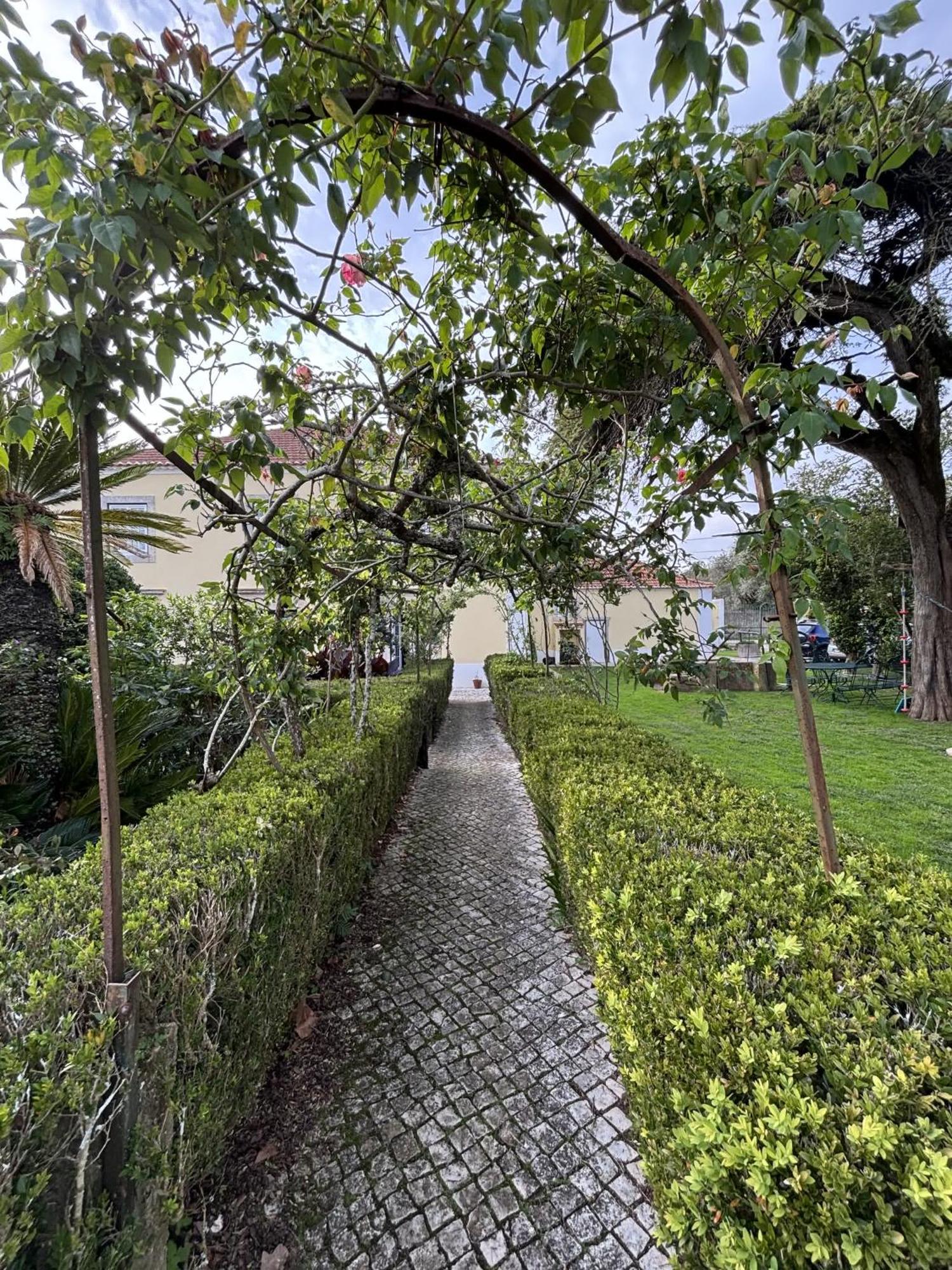 Quinta Do Scoto Bed & Breakfast Rinchoa Bagian luar foto