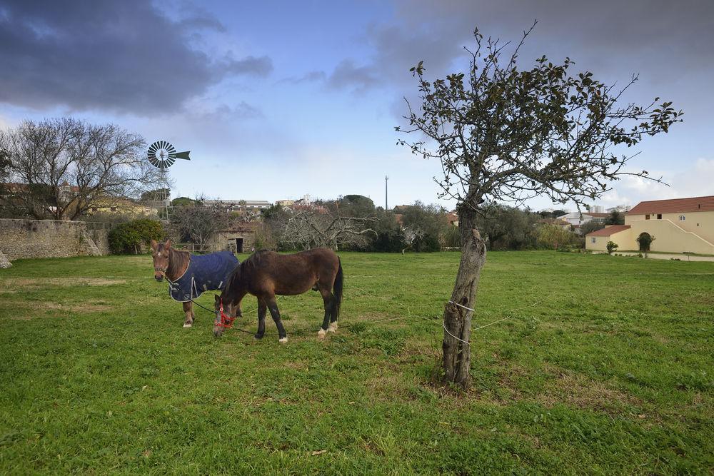 Quinta Do Scoto Bed & Breakfast Rinchoa Bagian luar foto