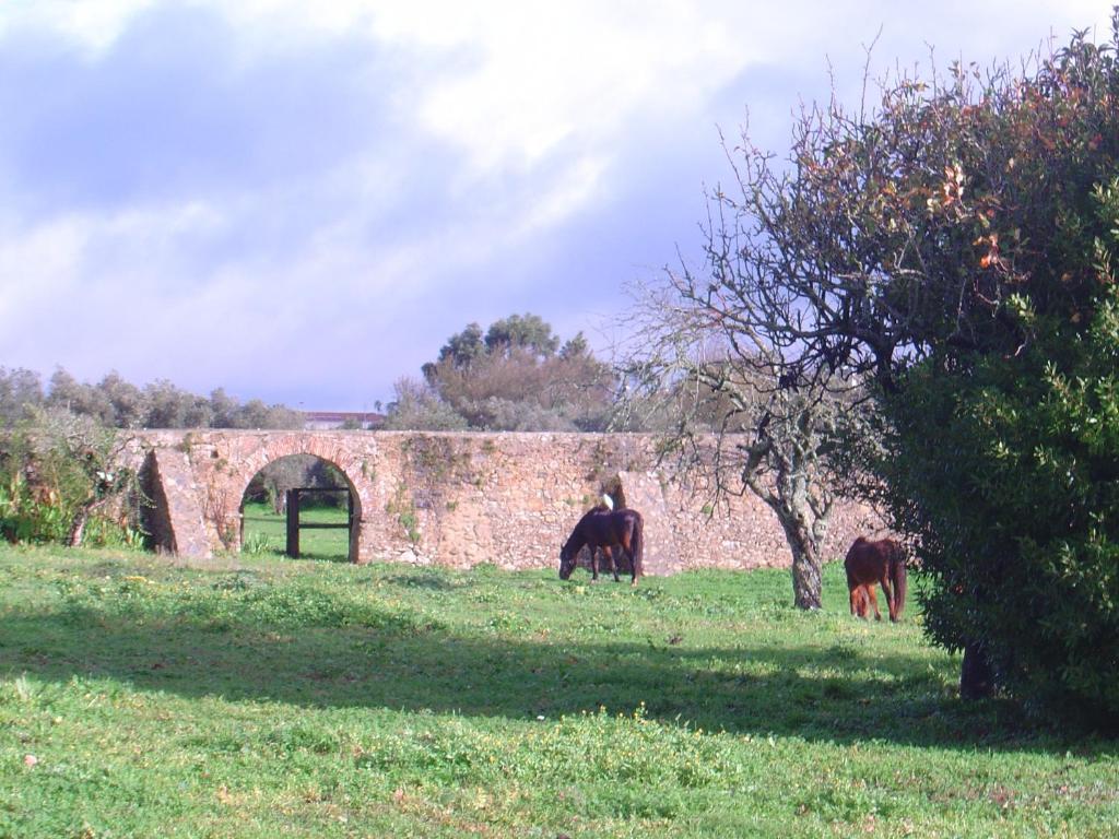 Quinta Do Scoto Bed & Breakfast Rinchoa Bagian luar foto